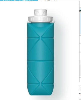 Sports Water Bottle