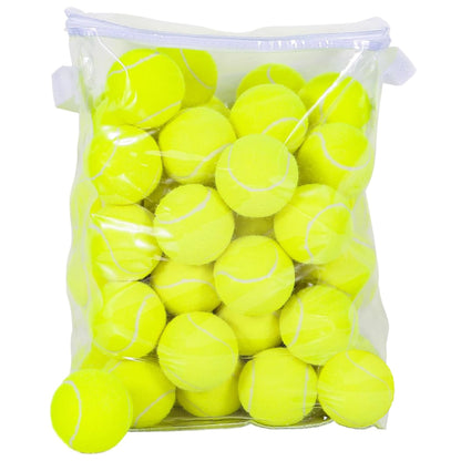 MRYCZ FYRHD 60 Pack Tennis Balls Training Tennis Balls Pet Dog Playing Balls Practice Tennis Balls with Mesh Bag for Transport and Beginner Training